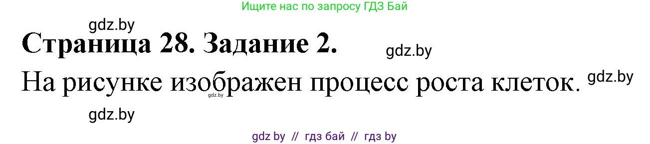 Биология, 6 класс рабочая тетрадь, авторы: Лисов Николай Дмитриевич, Борщевская Елена Валерьевна, издательство Аверсэв, Минск, 2021, жёлтого цвета, страница 28, номер 2, Решение