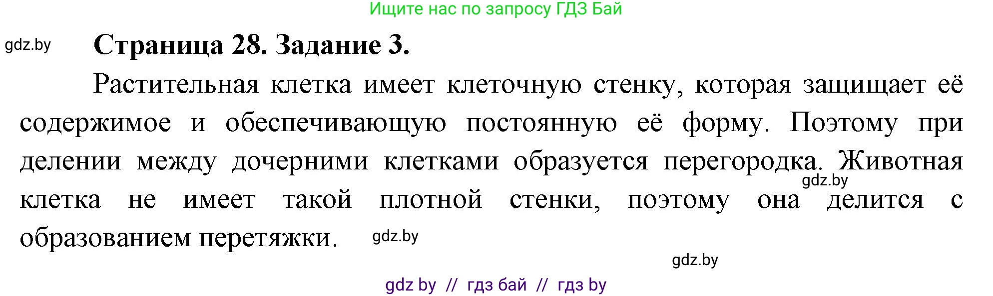 Биология, 6 класс рабочая тетрадь, авторы: Лисов Николай Дмитриевич, Борщевская Елена Валерьевна, издательство Аверсэв, Минск, 2021, жёлтого цвета, страница 28, номер 3, Решение