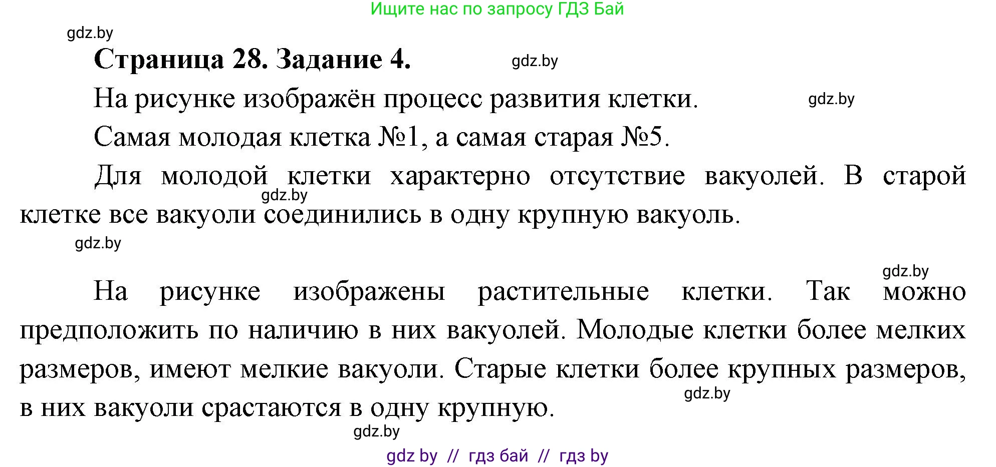 Биология, 6 класс рабочая тетрадь, авторы: Лисов Николай Дмитриевич, Борщевская Елена Валерьевна, издательство Аверсэв, Минск, 2021, жёлтого цвета, страница 28, номер 4, Решение
