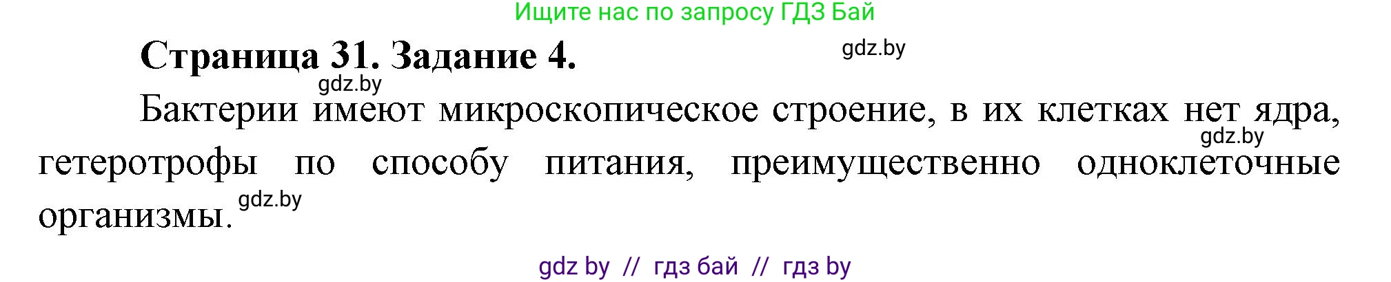Биология, 6 класс рабочая тетрадь, авторы: Лисов Николай Дмитриевич, Борщевская Елена Валерьевна, издательство Аверсэв, Минск, 2021, жёлтого цвета, страница 31, номер 4, Решение