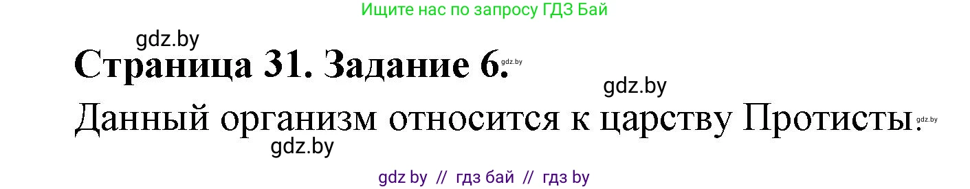 Биология, 6 класс рабочая тетрадь, авторы: Лисов Николай Дмитриевич, Борщевская Елена Валерьевна, издательство Аверсэв, Минск, 2021, жёлтого цвета, страница 31, номер 6, Решение