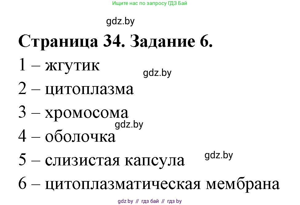 Биология, 6 класс рабочая тетрадь, авторы: Лисов Николай Дмитриевич, Борщевская Елена Валерьевна, издательство Аверсэв, Минск, 2021, жёлтого цвета, страница 34, номер 6, Решение