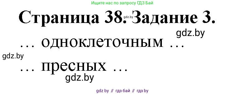 Биология, 6 класс рабочая тетрадь, авторы: Лисов Николай Дмитриевич, Борщевская Елена Валерьевна, издательство Аверсэв, Минск, 2021, жёлтого цвета, страница 38, номер 3, Решение
