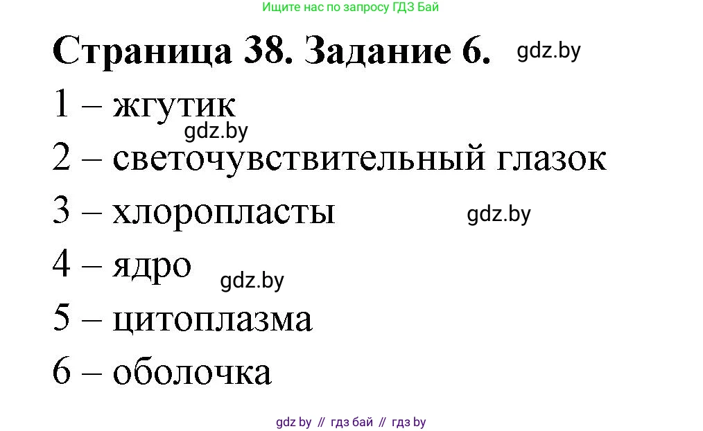 Биология, 6 класс рабочая тетрадь, авторы: Лисов Николай Дмитриевич, Борщевская Елена Валерьевна, издательство Аверсэв, Минск, 2021, жёлтого цвета, страница 38, номер 6, Решение