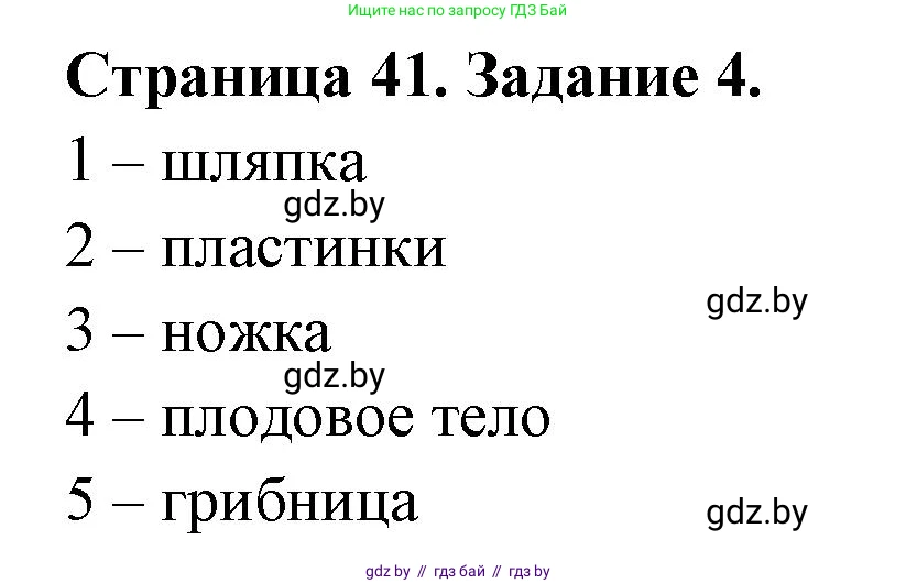 Биология, 6 класс рабочая тетрадь, авторы: Лисов Николай Дмитриевич, Борщевская Елена Валерьевна, издательство Аверсэв, Минск, 2021, жёлтого цвета, страница 41, номер 4, Решение