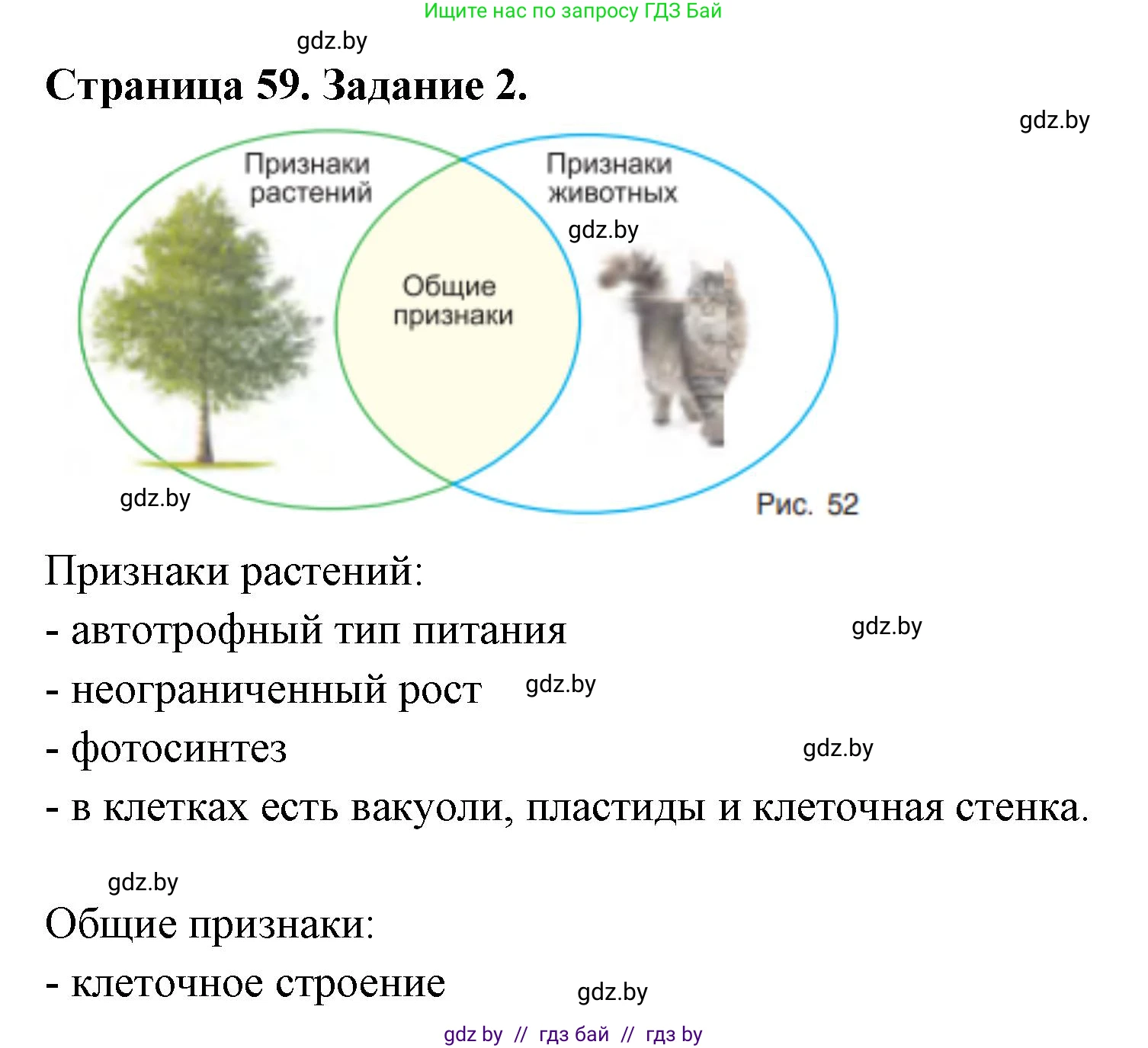 Биология, 6 класс рабочая тетрадь, авторы: Лисов Николай Дмитриевич, Борщевская Елена Валерьевна, издательство Аверсэв, Минск, 2021, жёлтого цвета, страница 59, номер 2, Решение