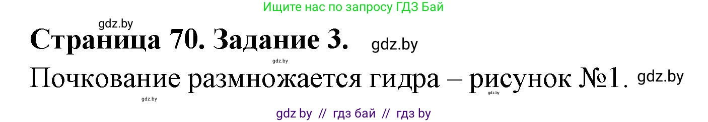 Биология, 6 класс рабочая тетрадь, авторы: Лисов Николай Дмитриевич, Борщевская Елена Валерьевна, издательство Аверсэв, Минск, 2021, жёлтого цвета, страница 70, номер 3, Решение