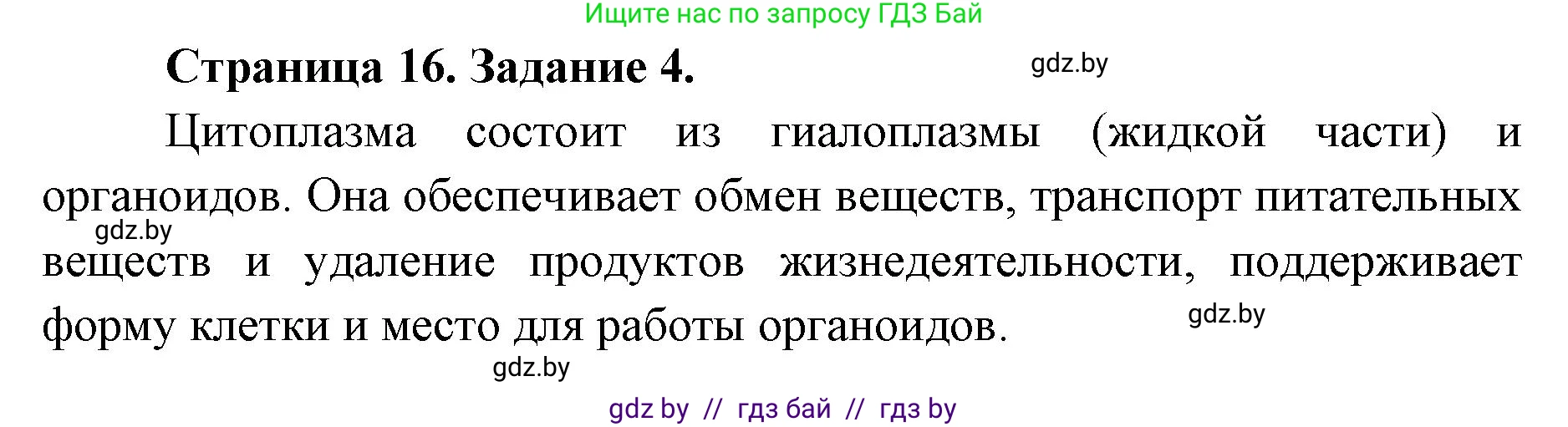 Биология, 6 класс Сборник контрольных и самостоятельных работ, авторы: Городович Наталья Ивановна, Капцевич Марина Викторовна, Сеген Елена Адамовна, издательство Аверсэв, Минск, 2021, страница 16, номер 4, Решение