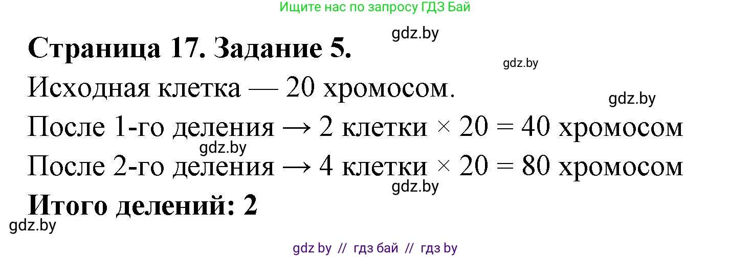 Биология, 6 класс Сборник контрольных и самостоятельных работ, авторы: Городович Наталья Ивановна, Капцевич Марина Викторовна, Сеген Елена Адамовна, издательство Аверсэв, Минск, 2021, страница 17, номер 5, Решение