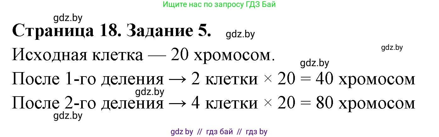 Биология, 6 класс Сборник контрольных и самостоятельных работ, авторы: Городович Наталья Ивановна, Капцевич Марина Викторовна, Сеген Елена Адамовна, издательство Аверсэв, Минск, 2021, страница 18, номер 5, Решение