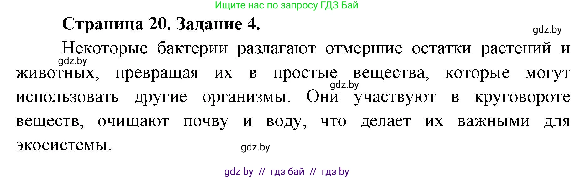 Биология, 6 класс Сборник контрольных и самостоятельных работ, авторы: Городович Наталья Ивановна, Капцевич Марина Викторовна, Сеген Елена Адамовна, издательство Аверсэв, Минск, 2021, страница 20, номер 4, Решение