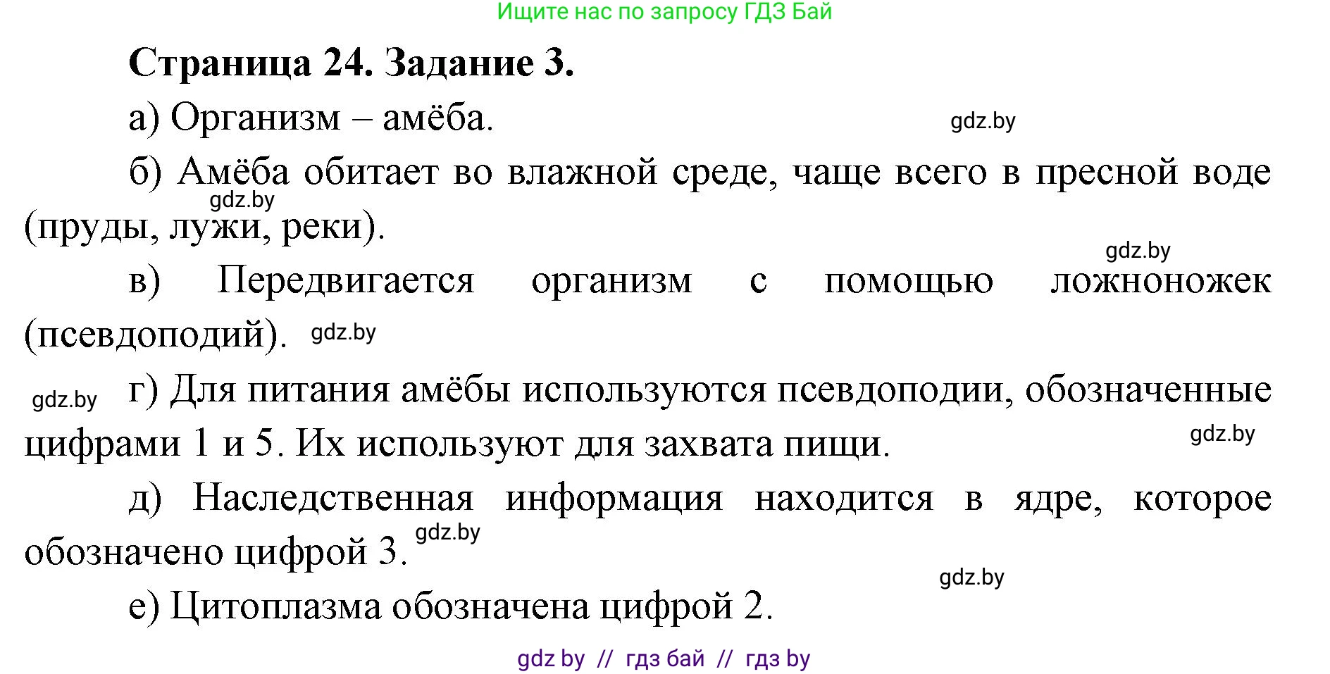 Биология, 6 класс Сборник контрольных и самостоятельных работ, авторы: Городович Наталья Ивановна, Капцевич Марина Викторовна, Сеген Елена Адамовна, издательство Аверсэв, Минск, 2021, страница 24, номер 3, Решение