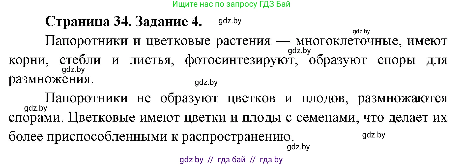 Биология, 6 класс Сборник контрольных и самостоятельных работ, авторы: Городович Наталья Ивановна, Капцевич Марина Викторовна, Сеген Елена Адамовна, издательство Аверсэв, Минск, 2021, страница 34, номер 4, Решение