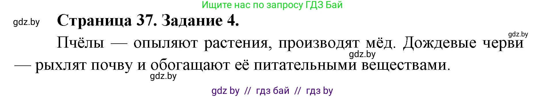 Биология, 6 класс Сборник контрольных и самостоятельных работ, авторы: Городович Наталья Ивановна, Капцевич Марина Викторовна, Сеген Елена Адамовна, издательство Аверсэв, Минск, 2021, страница 37, номер 4, Решение