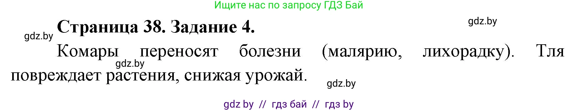 Биология, 6 класс Сборник контрольных и самостоятельных работ, авторы: Городович Наталья Ивановна, Капцевич Марина Викторовна, Сеген Елена Адамовна, издательство Аверсэв, Минск, 2021, страница 38, номер 4, Решение
