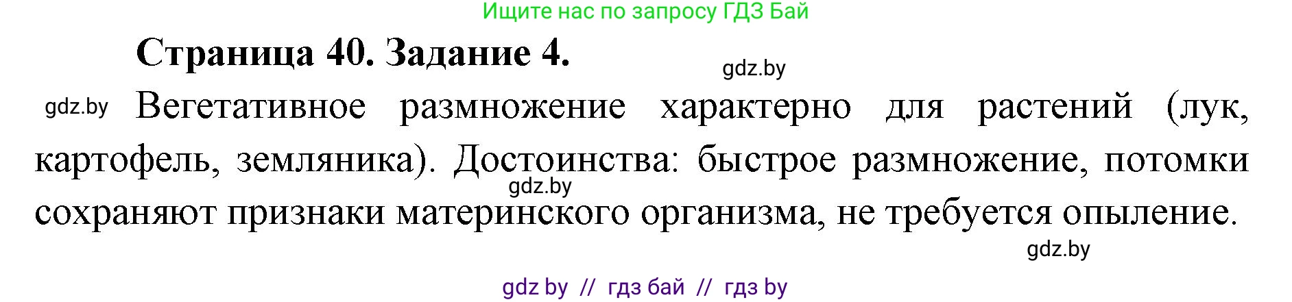 Биология, 6 класс Сборник контрольных и самостоятельных работ, авторы: Городович Наталья Ивановна, Капцевич Марина Викторовна, Сеген Елена Адамовна, издательство Аверсэв, Минск, 2021, страница 40, номер 4, Решение