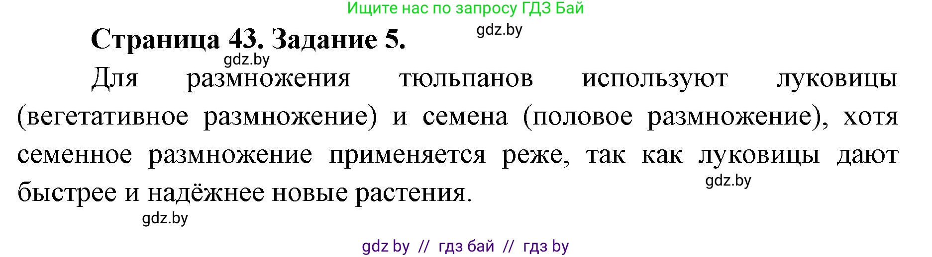 Биология, 6 класс Сборник контрольных и самостоятельных работ, авторы: Городович Наталья Ивановна, Капцевич Марина Викторовна, Сеген Елена Адамовна, издательство Аверсэв, Минск, 2021, страница 43, номер 5, Решение