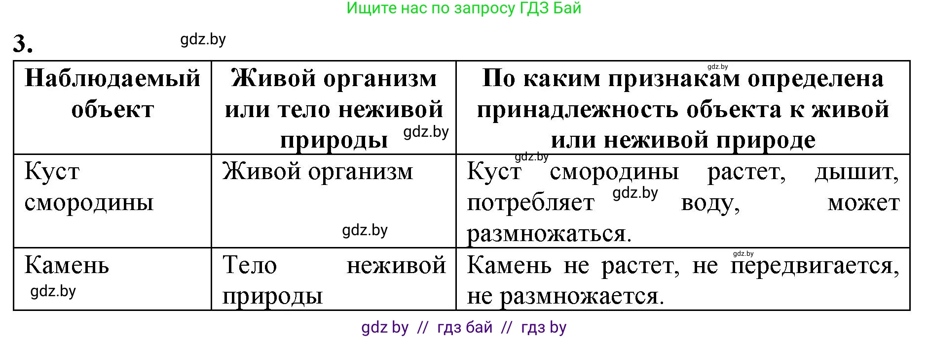 Биология, 6 класс Тетрадь для лабораторных и практических работ, авторы: Лисов Николай Дмитриевич, Борщевская Елена Валерьевна, издательство Аверсэв, Минск, 2023, салатового цвета, страница 13, номер 3, Решение