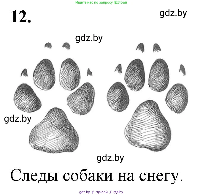 Биология, 6 класс Тетрадь для лабораторных и практических работ, авторы: Лисов Николай Дмитриевич, Борщевская Елена Валерьевна, издательство Аверсэв, Минск, 2023, салатового цвета, страница 31, номер 12, Решение