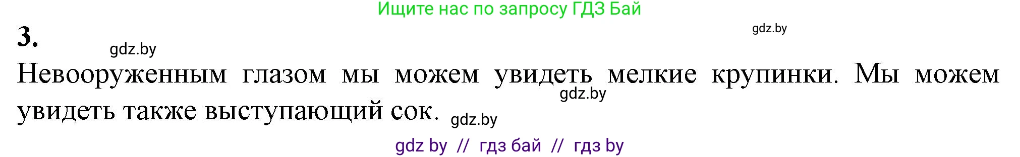 Биология, 6 класс Тетрадь для лабораторных и практических работ, авторы: Лисов Николай Дмитриевич, Борщевская Елена Валерьевна, издательство Аверсэв, Минск, 2023, салатового цвета, страница 5, номер 3, Решение