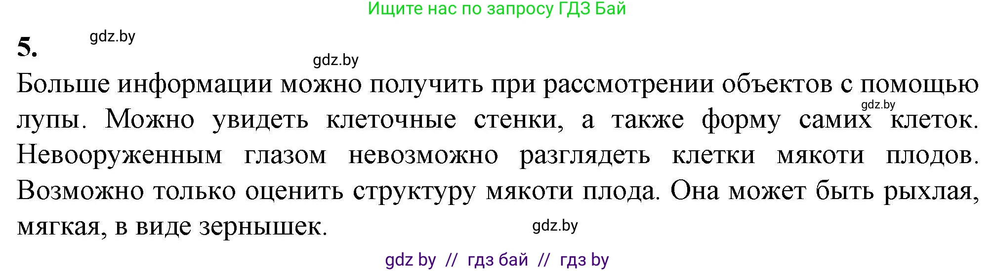 Биология, 6 класс Тетрадь для лабораторных и практических работ, авторы: Лисов Николай Дмитриевич, Борщевская Елена Валерьевна, издательство Аверсэв, Минск, 2023, салатового цвета, страница 5, номер 5, Решение
