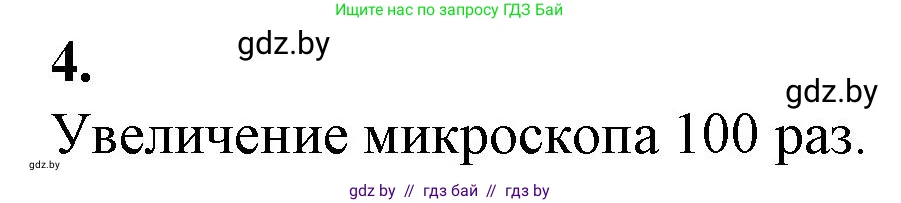 Биология, 6 класс Тетрадь для лабораторных и практических работ, авторы: Лисов Николай Дмитриевич, Борщевская Елена Валерьевна, издательство Аверсэв, Минск, 2023, салатового цвета, страница 8, номер 4, Решение