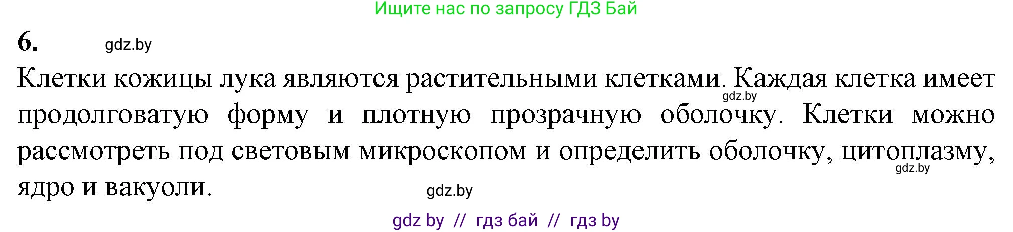 Биология, 6 класс Тетрадь для лабораторных и практических работ, авторы: Лисов Николай Дмитриевич, Борщевская Елена Валерьевна, издательство Аверсэв, Минск, 2023, салатового цвета, страница 21, номер 6, Решение