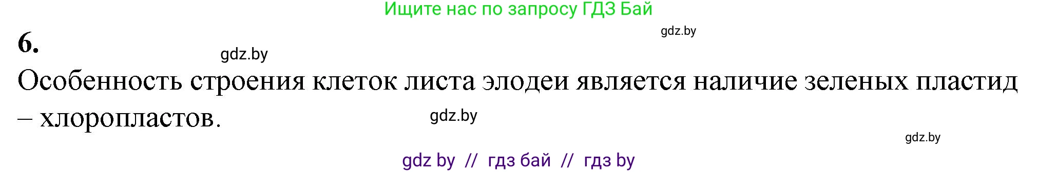 Биология, 6 класс Тетрадь для лабораторных и практических работ, авторы: Лисов Николай Дмитриевич, Борщевская Елена Валерьевна, издательство Аверсэв, Минск, 2023, салатового цвета, страница 23, номер 6, Решение