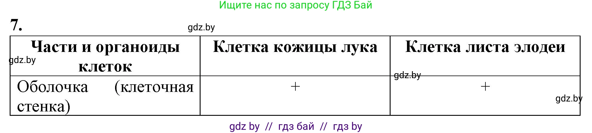 Биология, 6 класс Тетрадь для лабораторных и практических работ, авторы: Лисов Николай Дмитриевич, Борщевская Елена Валерьевна, издательство Аверсэв, Минск, 2023, салатового цвета, страница 23, номер 7, Решение