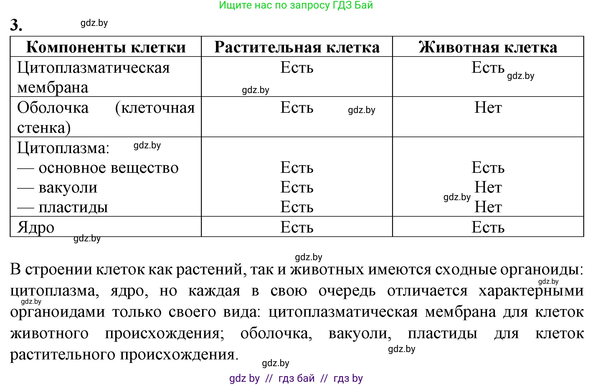 Биология, 6 класс Тетрадь для лабораторных и практических работ, авторы: Лисов Николай Дмитриевич, Борщевская Елена Валерьевна, издательство Аверсэв, Минск, 2023, салатового цвета, страница 25, номер 3, Решение