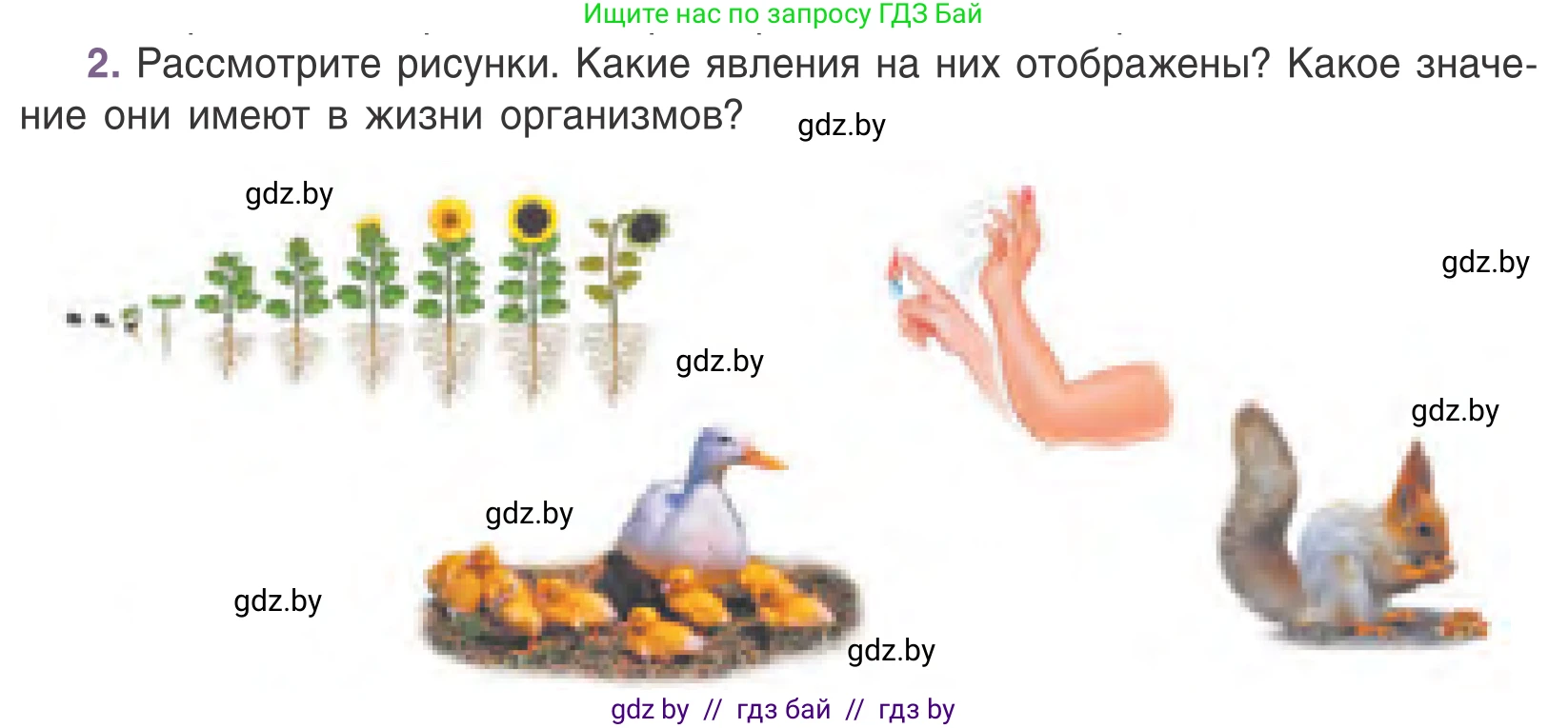Биология, 6 класс Учебник, автор: Лисов Николай Дмитриевич, издательство Народная асвета, Минск, 2021, зелёного цвета, страница 14, номер 2, Условие