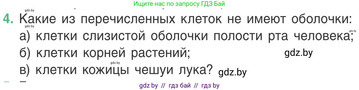 Биология, 6 класс Учебник, автор: Лисов Николай Дмитриевич, издательство Народная асвета, Минск, 2021, зелёного цвета, страница 29, номер 4, Условие