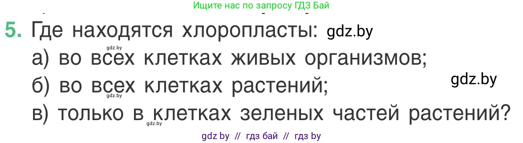 Биология, 6 класс Учебник, автор: Лисов Николай Дмитриевич, издательство Народная асвета, Минск, 2021, зелёного цвета, страница 29, номер 5, Условие