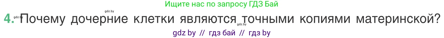 Биология, 6 класс Учебник, автор: Лисов Николай Дмитриевич, издательство Народная асвета, Минск, 2021, зелёного цвета, страница 34, номер 4, Условие