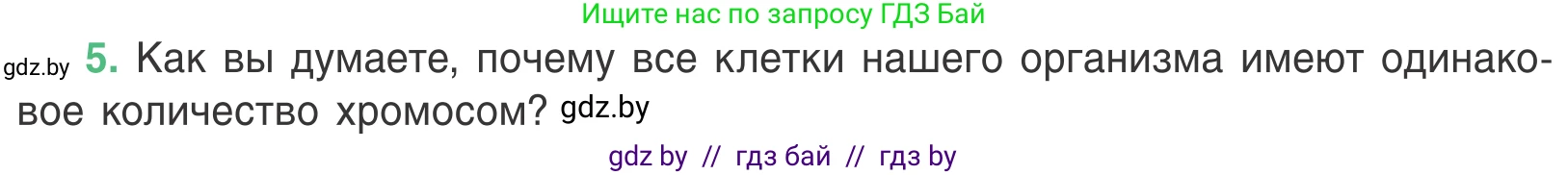 Биология, 6 класс Учебник, автор: Лисов Николай Дмитриевич, издательство Народная асвета, Минск, 2021, зелёного цвета, страница 34, номер 5, Условие