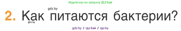 Биология, 6 класс Учебник, автор: Лисов Николай Дмитриевич, издательство Народная асвета, Минск, 2021, зелёного цвета, страница 43, номер 2, Условие