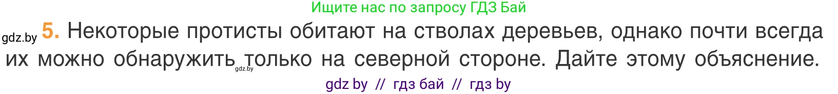Биология, 6 класс Учебник, автор: Лисов Николай Дмитриевич, издательство Народная асвета, Минск, 2021, зелёного цвета, страница 48, номер 5, Условие