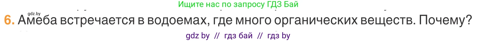 Биология, 6 класс Учебник, автор: Лисов Николай Дмитриевич, издательство Народная асвета, Минск, 2021, зелёного цвета, страница 48, номер 6, Условие