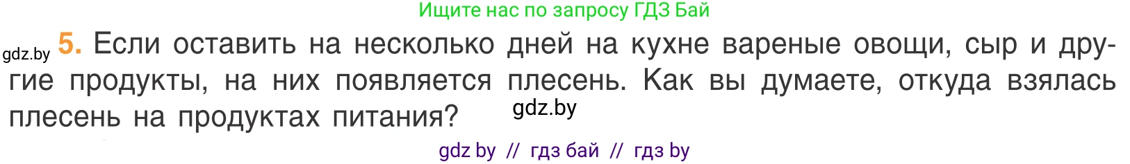 Биология, 6 класс Учебник, автор: Лисов Николай Дмитриевич, издательство Народная асвета, Минск, 2021, зелёного цвета, страница 54, номер 5, Условие