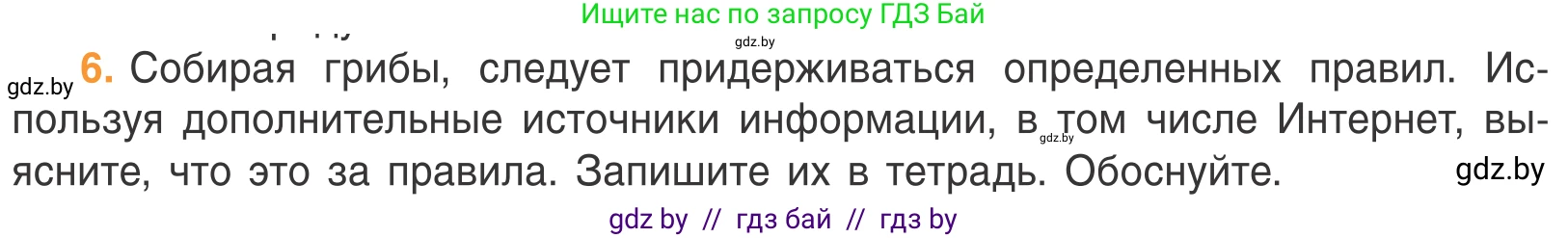Биология, 6 класс Учебник, автор: Лисов Николай Дмитриевич, издательство Народная асвета, Минск, 2021, зелёного цвета, страница 54, номер 6, Условие