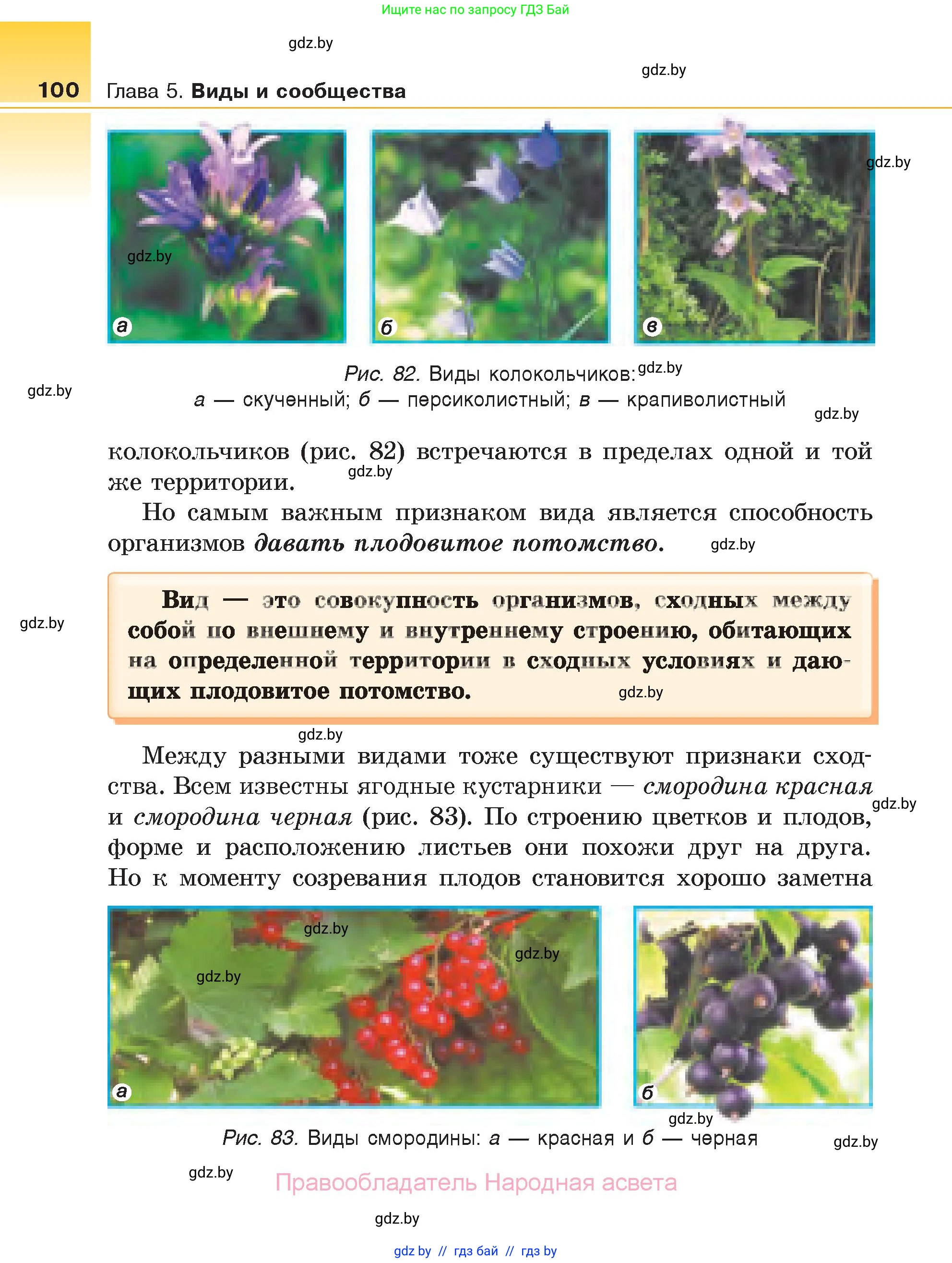 Биология, 6 класс Учебник, автор: Лисов Николай Дмитриевич, издательство Народная асвета, Минск, 2021, зелёного цвета, страница 100