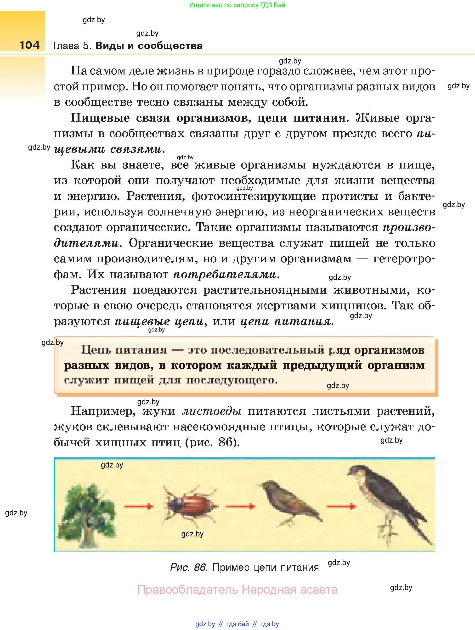 Биология, 6 класс Учебник, автор: Лисов Николай Дмитриевич, издательство Народная асвета, Минск, 2021, зелёного цвета, страница 104