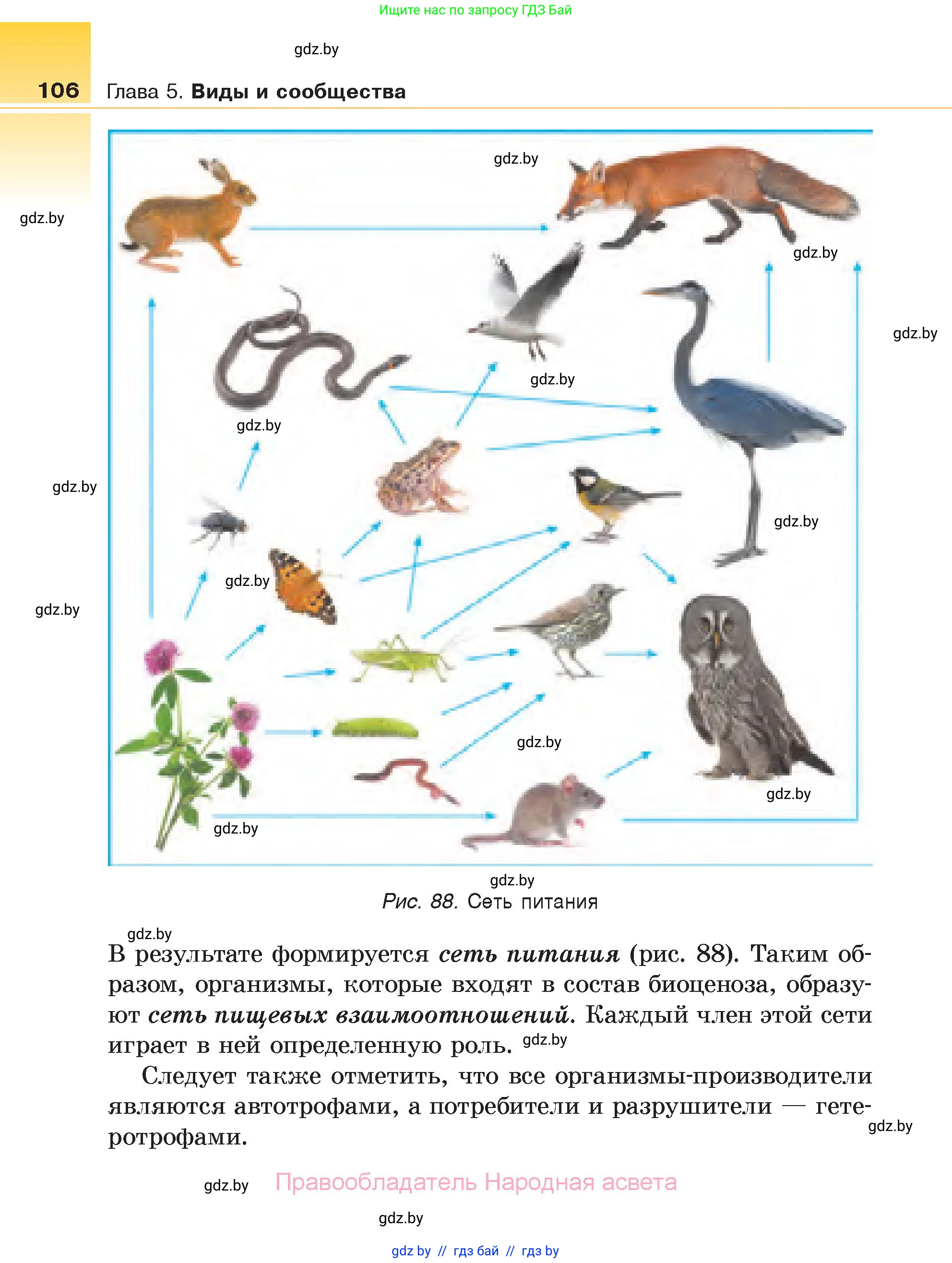 Биология, 6 класс Учебник, автор: Лисов Николай Дмитриевич, издательство Народная асвета, Минск, 2021, зелёного цвета, страница 106