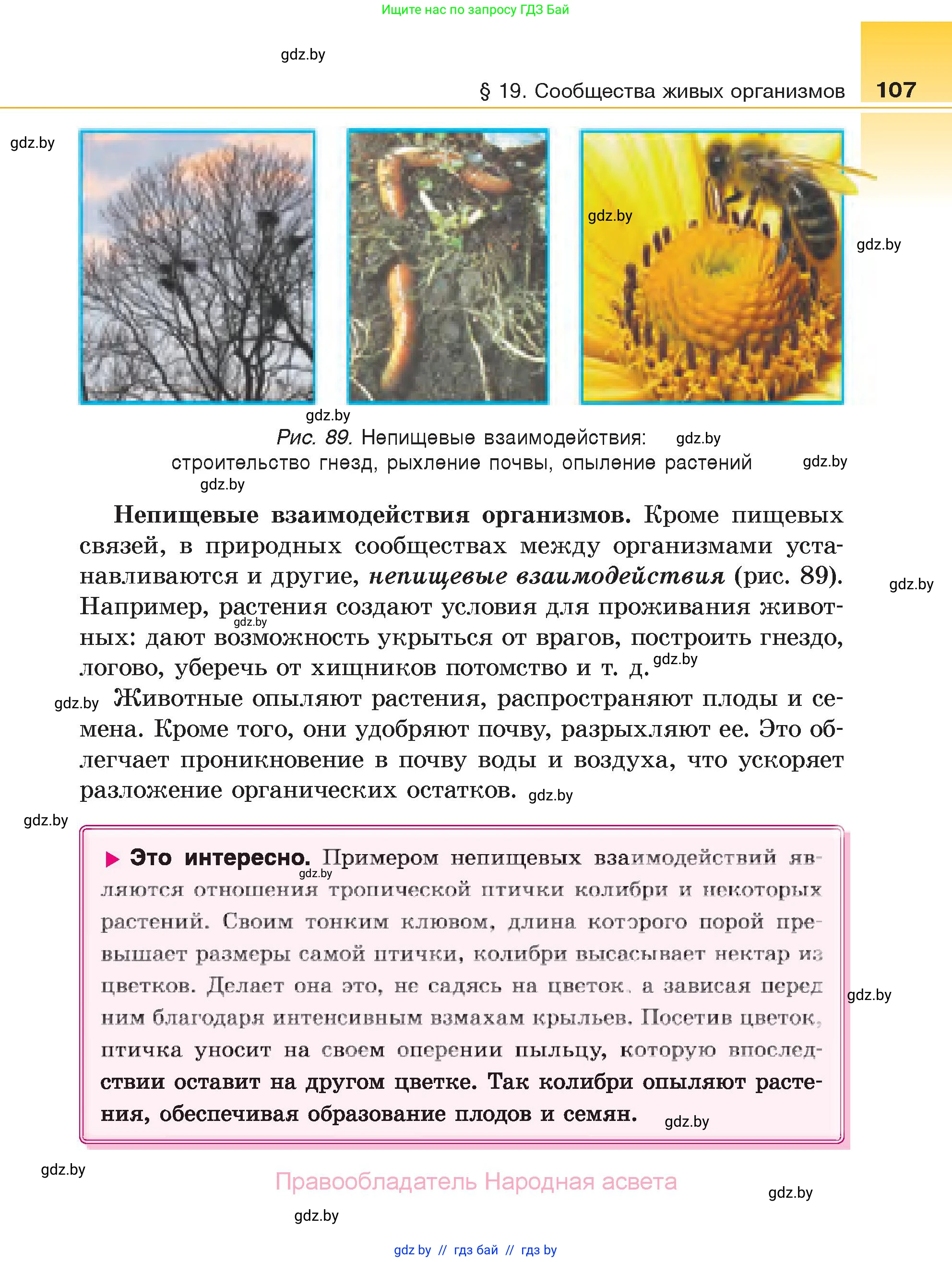 Биология, 6 класс Учебник, автор: Лисов Николай Дмитриевич, издательство Народная асвета, Минск, 2021, зелёного цвета, страница 107