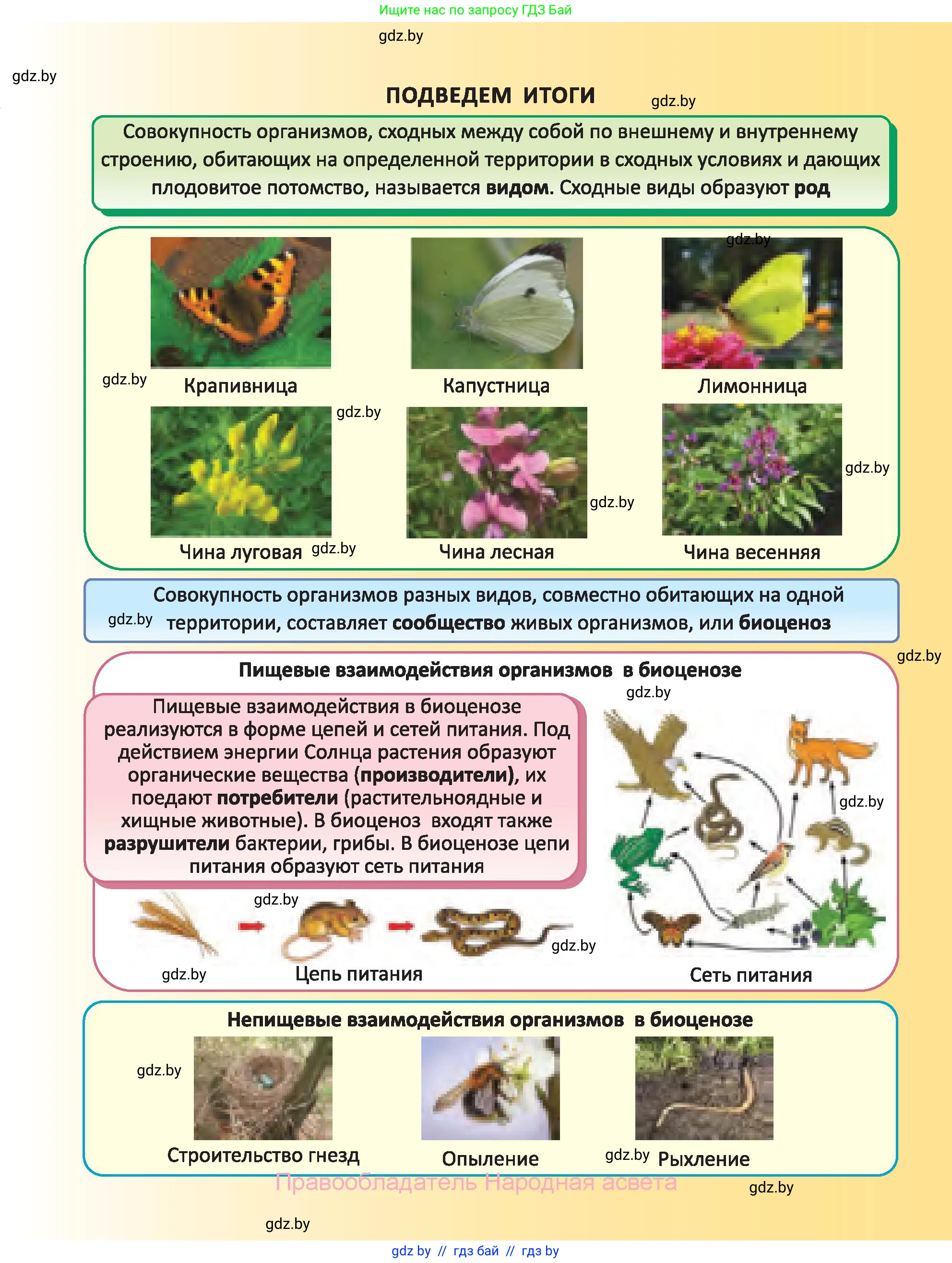 Биология, 6 класс Учебник, автор: Лисов Николай Дмитриевич, издательство Народная асвета, Минск, 2021, зелёного цвета, страница 109