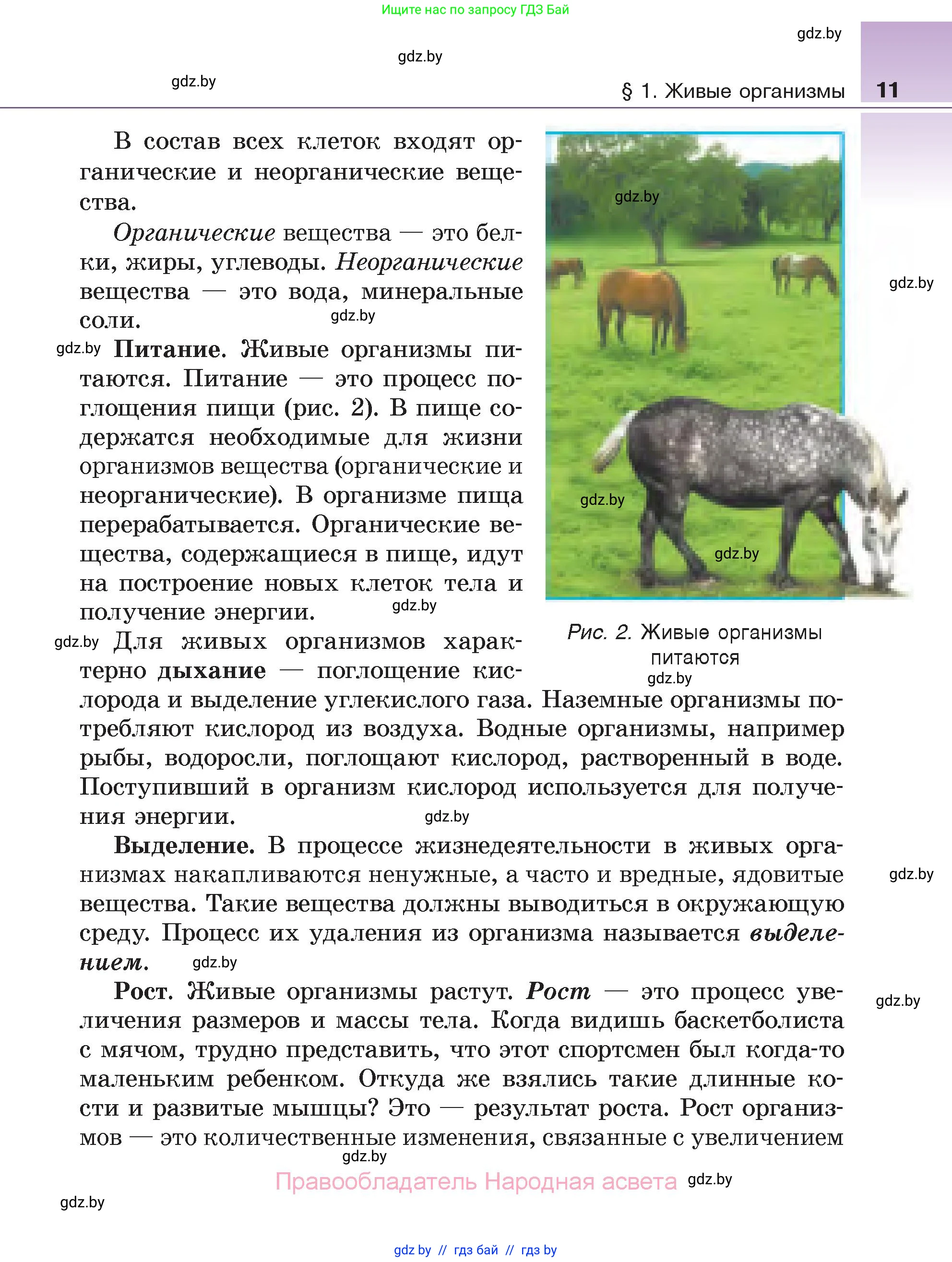 Биология, 6 класс Учебник, автор: Лисов Николай Дмитриевич, издательство Народная асвета, Минск, 2021, зелёного цвета, страница 11
