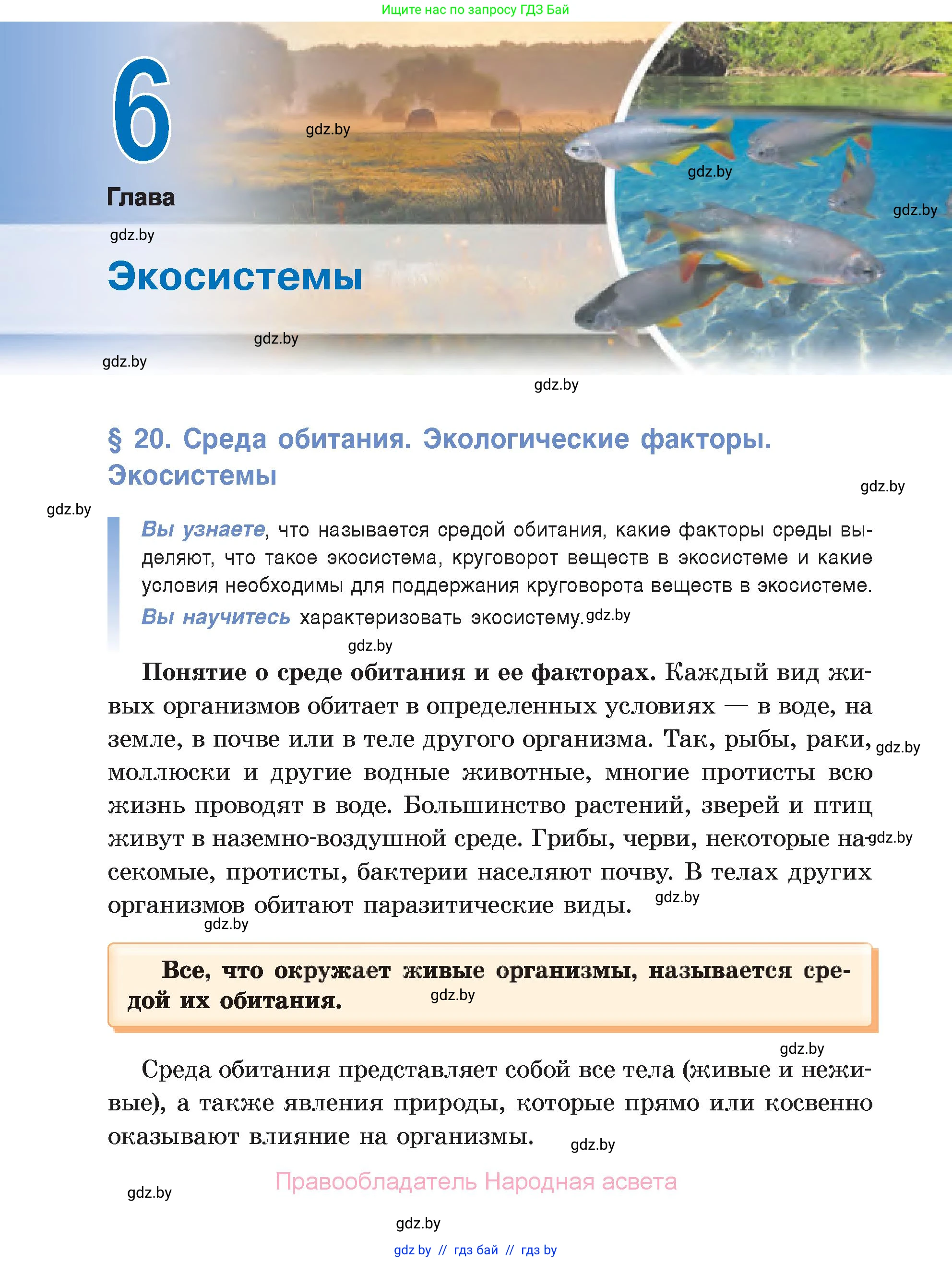 Биология, 6 класс Учебник, автор: Лисов Николай Дмитриевич, издательство Народная асвета, Минск, 2021, зелёного цвета, страница 110
