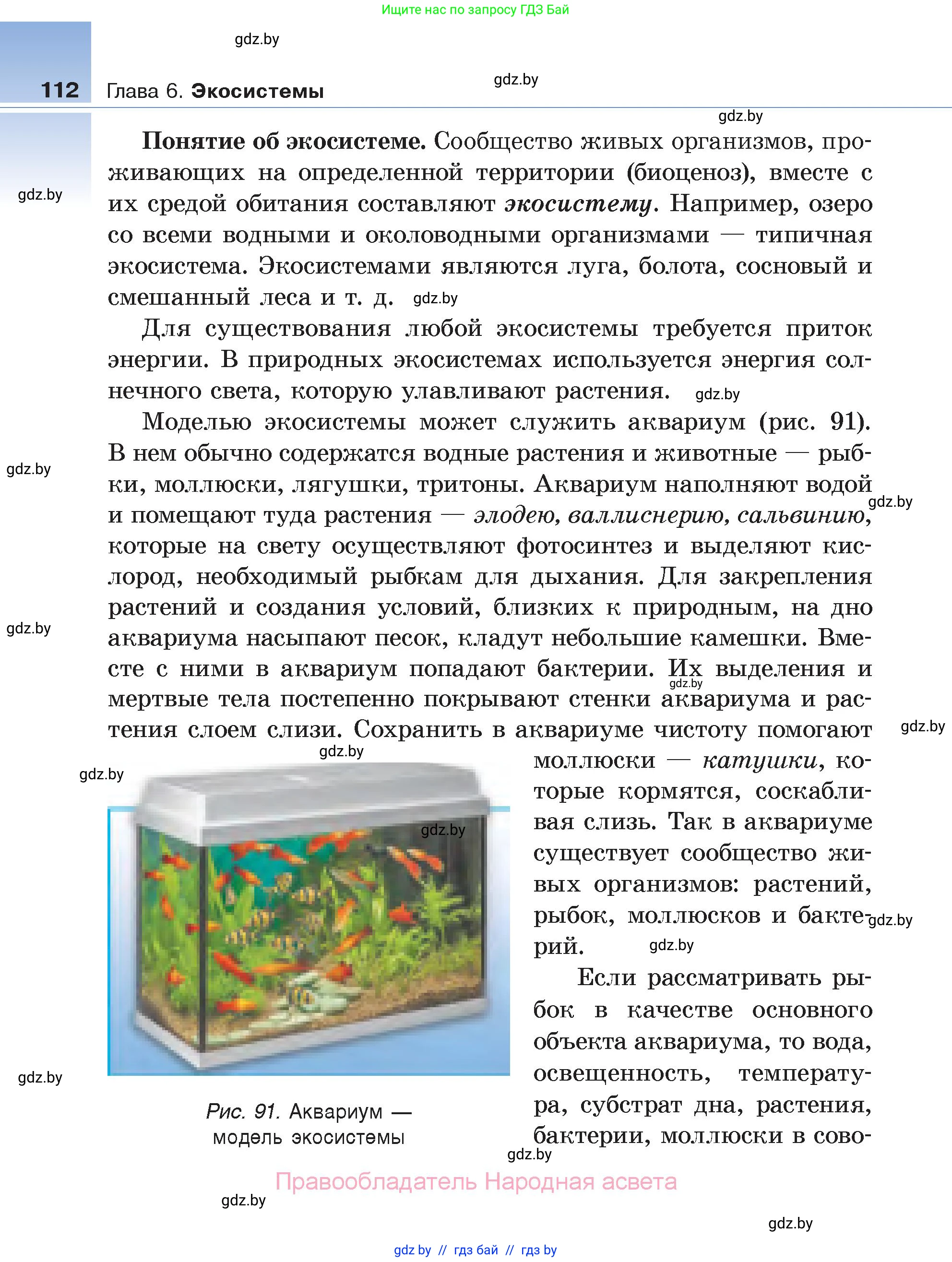 Биология, 6 класс Учебник, автор: Лисов Николай Дмитриевич, издательство Народная асвета, Минск, 2021, зелёного цвета, страница 112