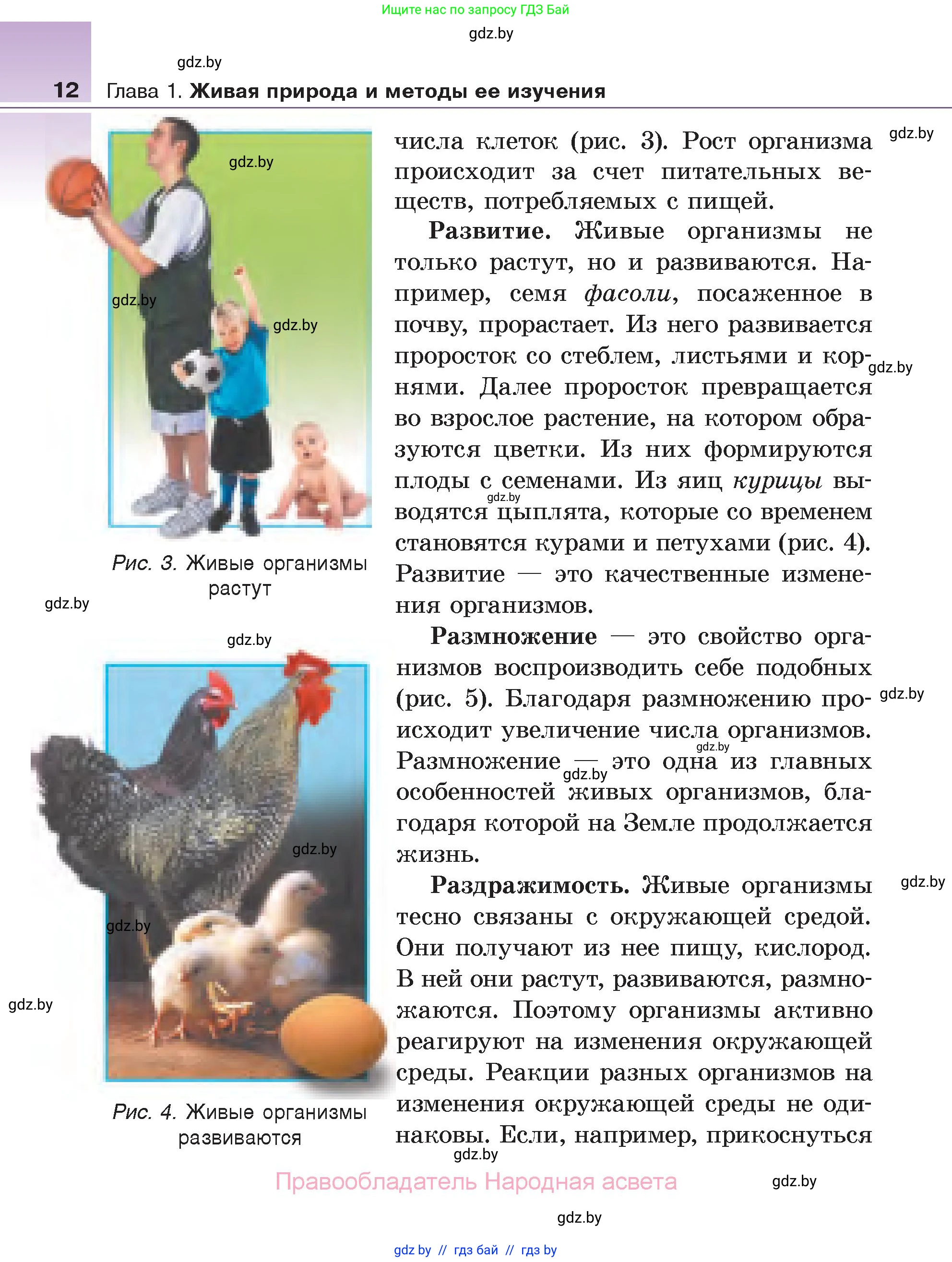 Биология, 6 класс Учебник, автор: Лисов Николай Дмитриевич, издательство Народная асвета, Минск, 2021, зелёного цвета, страница 12