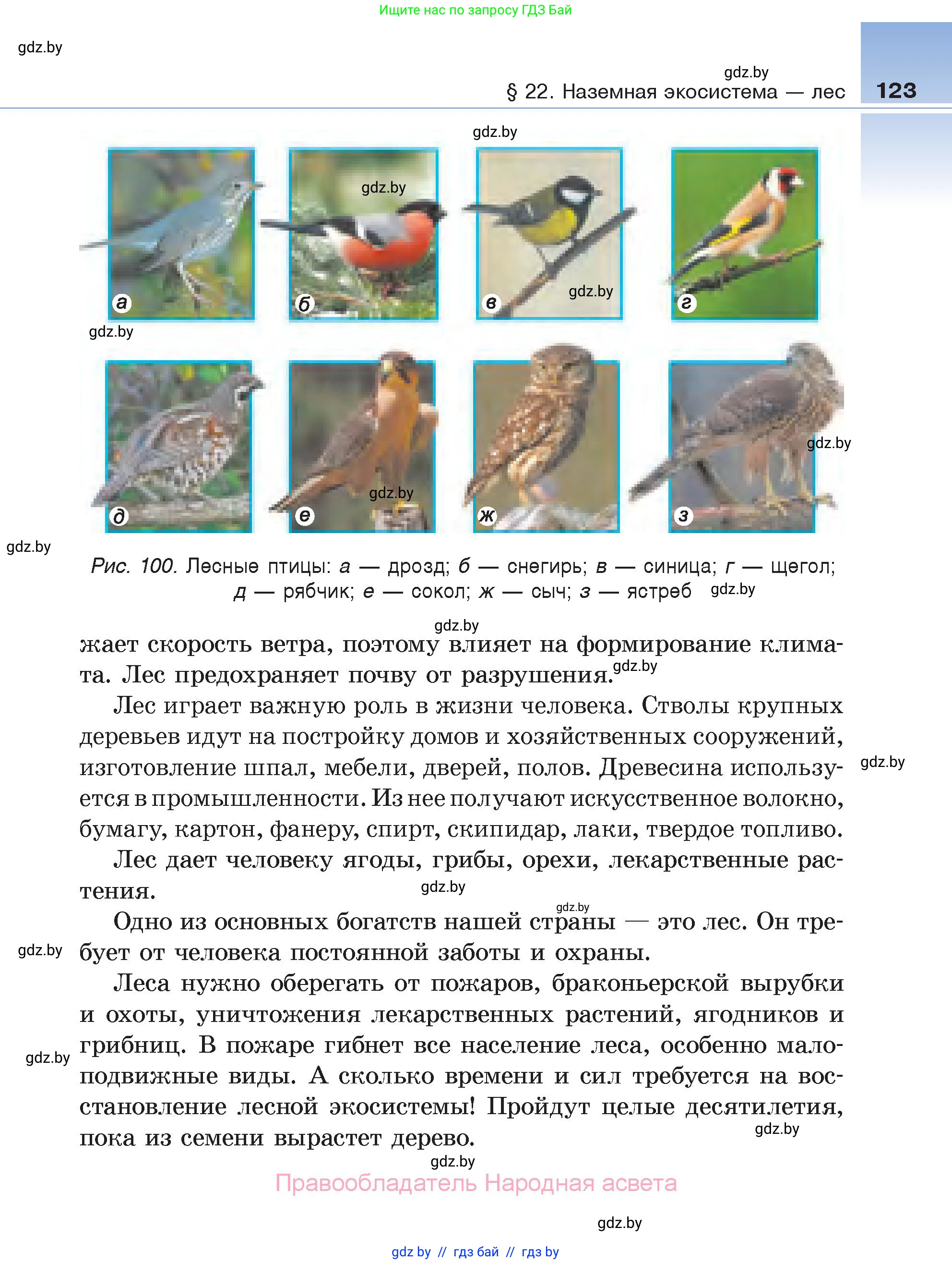 Биология, 6 класс Учебник, автор: Лисов Николай Дмитриевич, издательство Народная асвета, Минск, 2021, зелёного цвета, страница 123